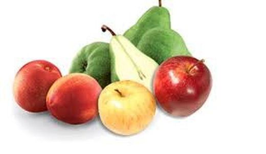 Faites pousser des fruits dans votre PATIO ou TERRASSE