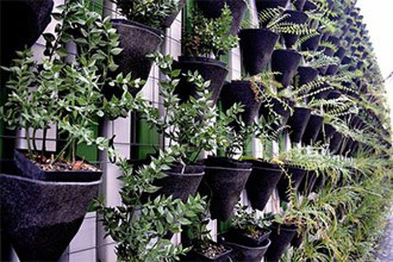 Learn about the best vertical garden options! Here at Jardinería del Valles