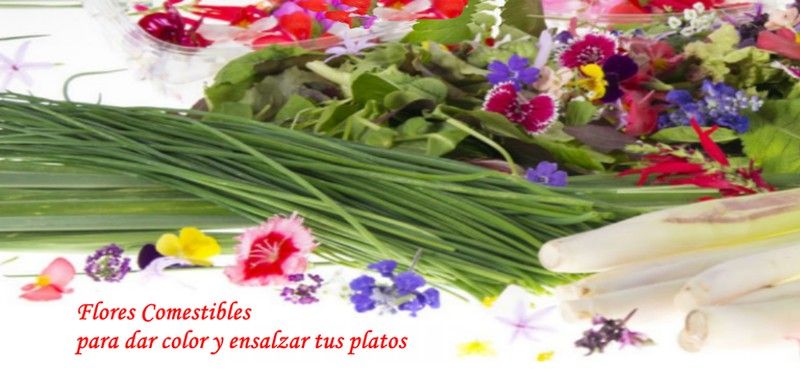 Flores comestibles en tus platos