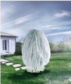 Proteccion para tus plantas de las heladas