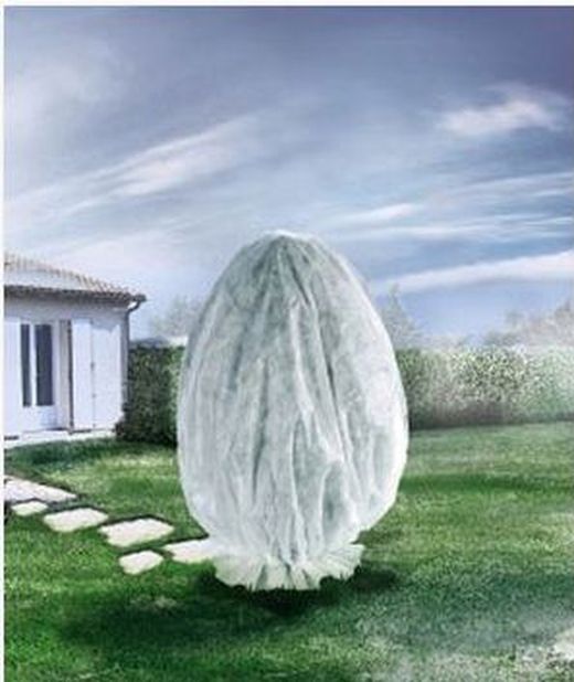 Protection de vos plantes contre le gel