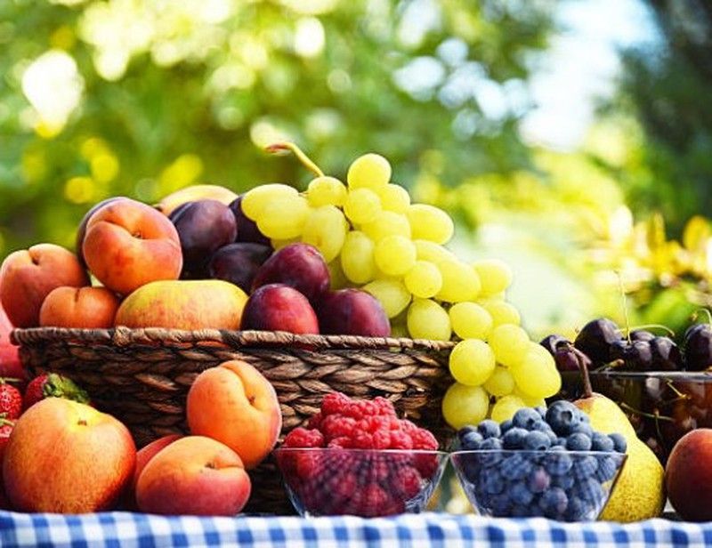 ¡Vuelve a lo natural!, con nuestra mejor selección de FRUTALES ECOLÓGICOS