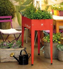 ¿Ya tienes tu mesa de cultivo urbano? ¡Lo más trending para el otoño!