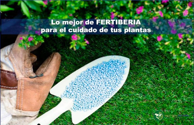 LO MEJOR DE FERTIBERIA PARA EL CUIDADO DE TUS PLANTAS