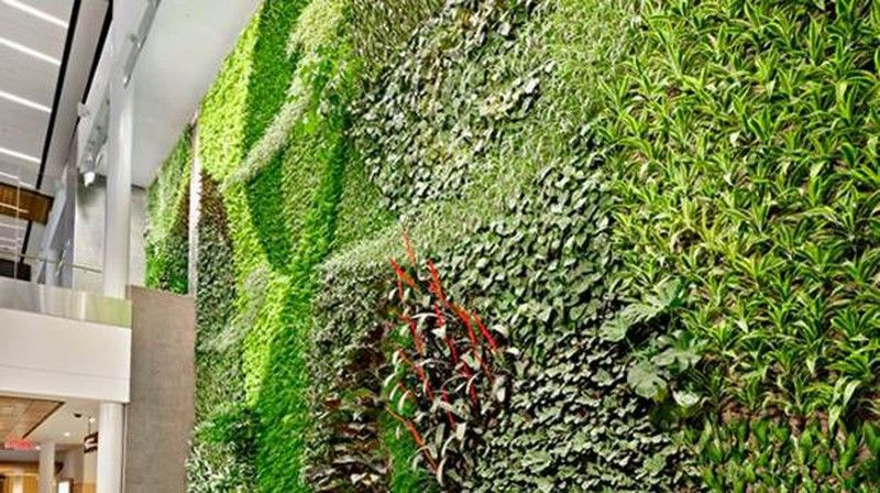 Pared verde, muro vertical o jardín vertical,
