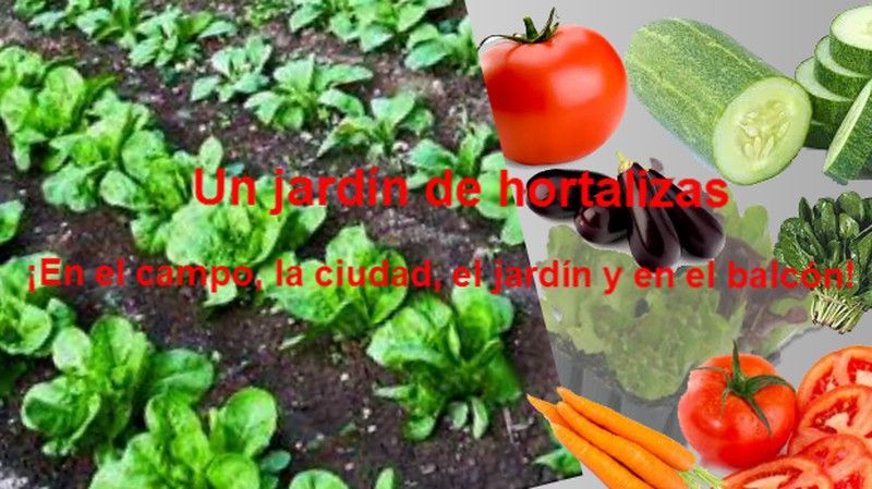 ¡Comer sano, un reto fácil, creativo, saludable, familiar y divertido!