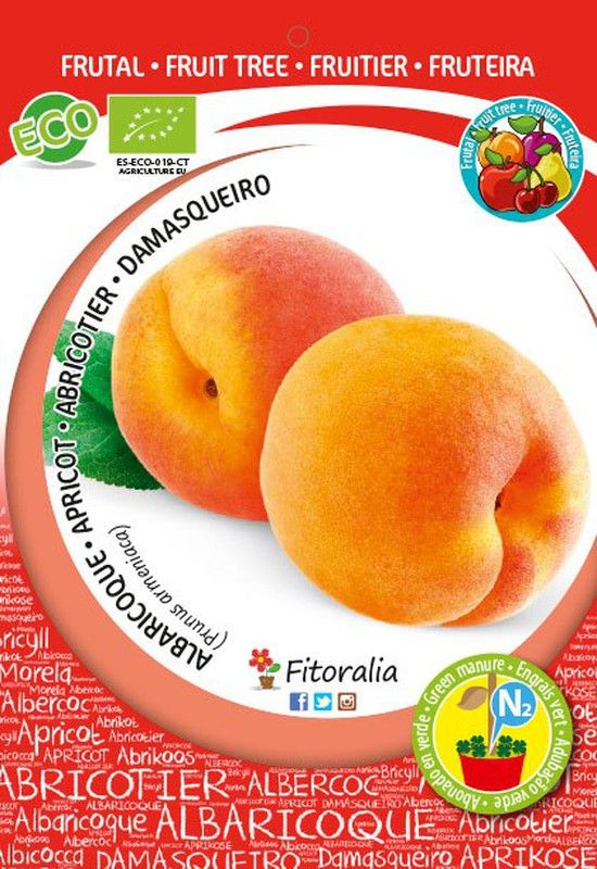 FRUTALES DE HUESO ECOLÓGICOS GRANDES