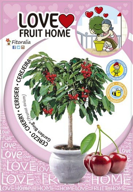 FRUTALES DE HUESO ECOLÓGICOS DE TAMAÑO MEDIANO 