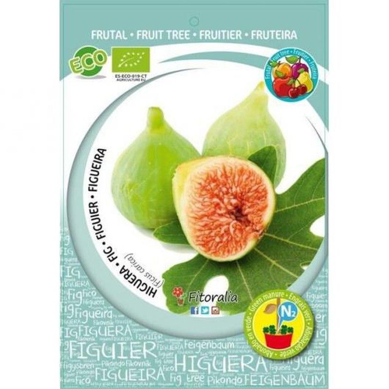 FRUTALES EXÓTICOS ECOLÓGICOS