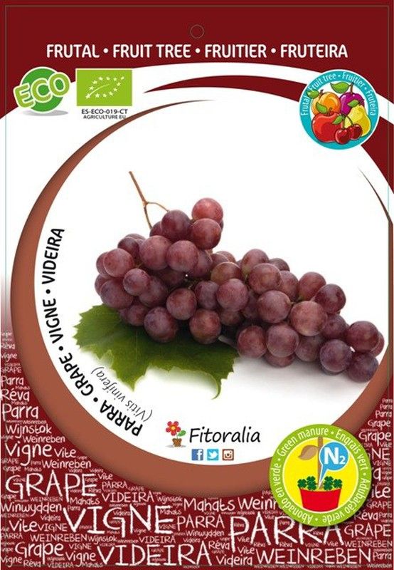 FRUTALES ECOLÓGICOS DESTINADOS A LA INDUSTRIA