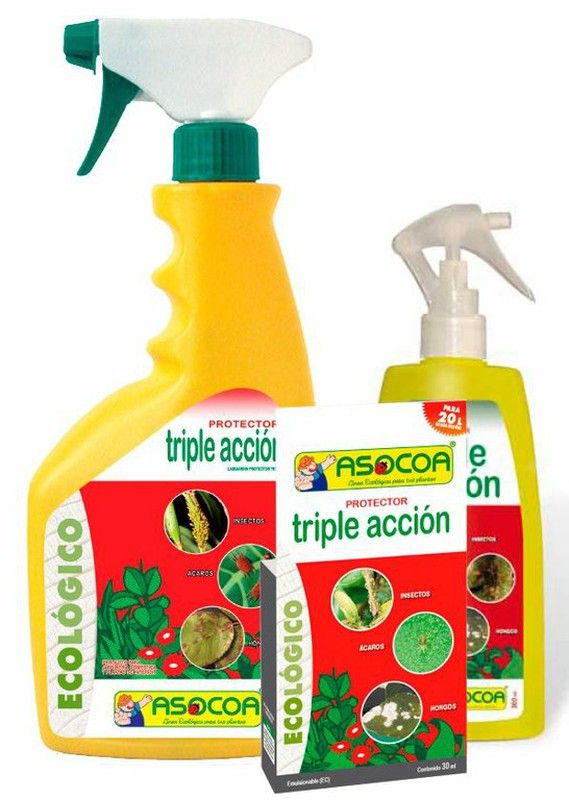 Insecticida biológico triple acción hecho de la mezcla de varias plantas insecticidas. 