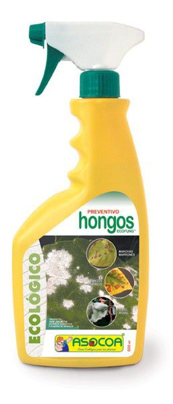 Extractos de plantas que funcionan como fungicidas