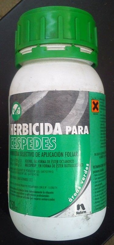 El césped esta lleno de malas hierbas