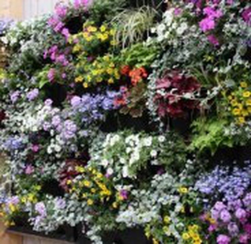 Los jardines verticales artificiales