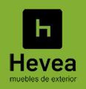 Hevea