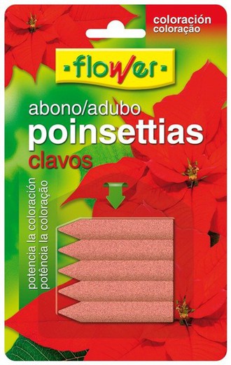Poinsettias fertilizer
