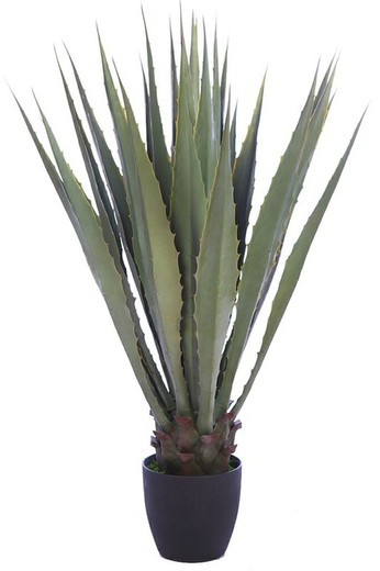 Künstliche Agave