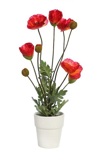 Artificial poppy in small pot