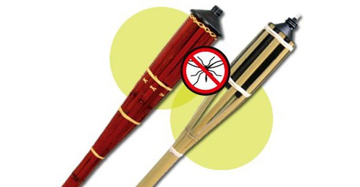 Bamboo Torch