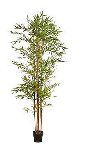 Artificial bamboo canes 220cm