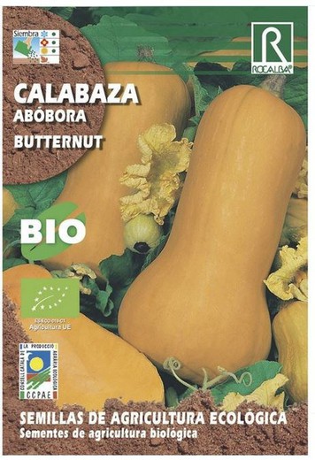 Calabaza butternut