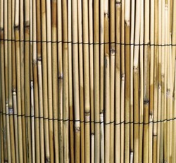 Cañizo Bambú 1,5 x 5 metros natural CHINO para JARDIN, ocultación 70%