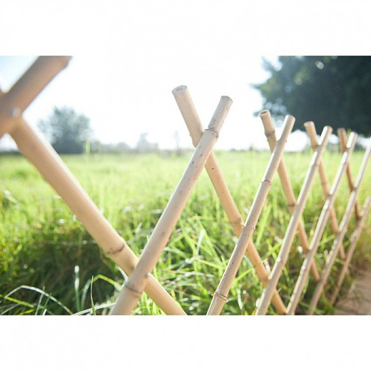 Estrutura de bambu extensível