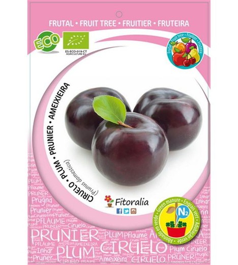 Prune bio en trois variétés