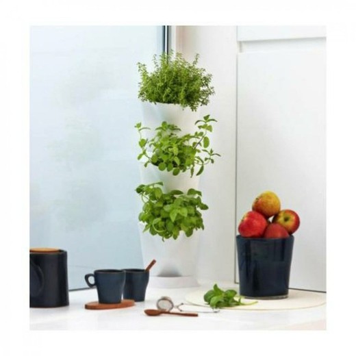 Vertikale Kultivierung Mini-Gartenecke
