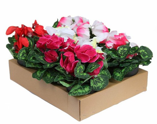 Cyclamen artificial surtido