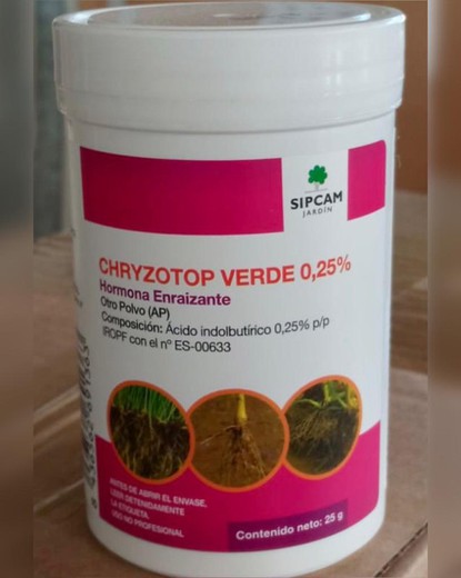 Polvere di ormone radicante Chryzotop 2,5%