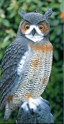 Polyresin figure Owl