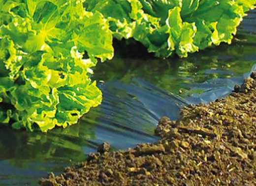 Special film growing weeds from the garden, Terrafilm de nortene