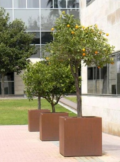 Jardinera corten cubo 100x100x100