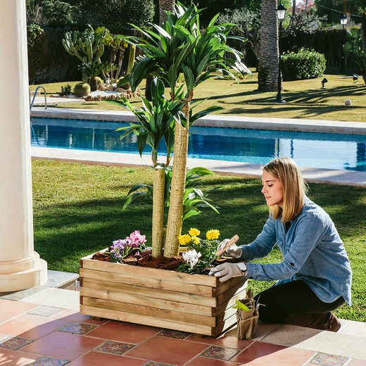 Plantadora “Windbox” da marca Catral