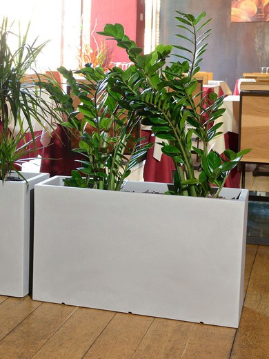 Jardinera rectangular casseta atlantis 100x49 cm
