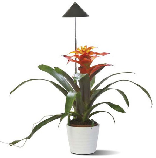 Led lamp for living plants
