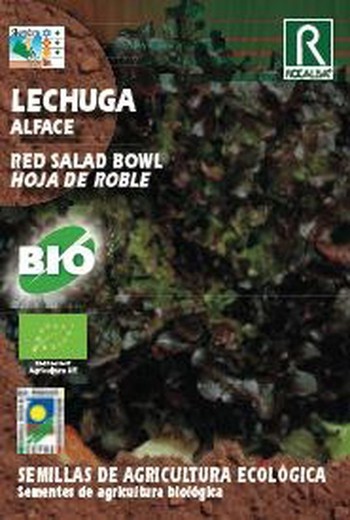 Lechuga hoja de Roble