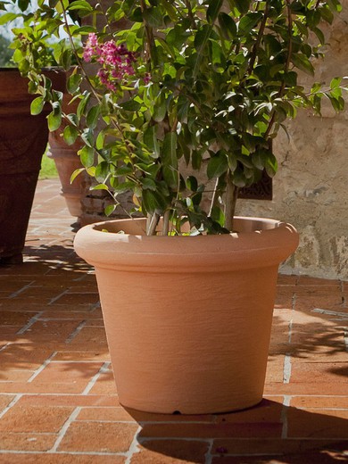 Classic round resin flowerpot finished in Rotondo rustici edge