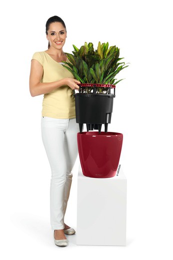 ARTE Pot auto-arrosant pour plantes d'intérieur de Santino®, taille: 0,6l,  couleur: blanc - noir