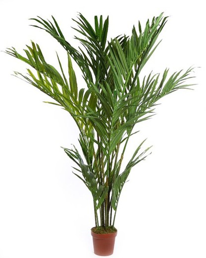 Artificial Areca palm tree