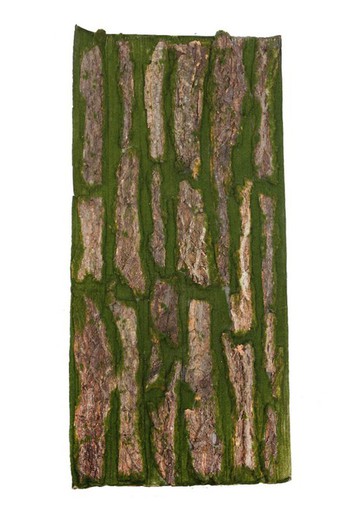 Moss and artificial bark plate