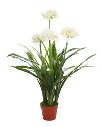 Planta artificial de Allium