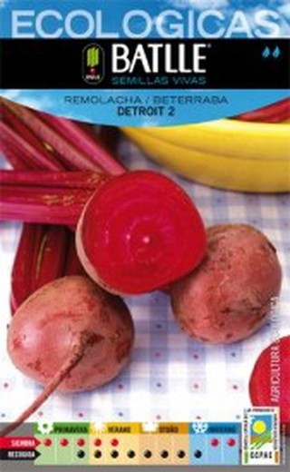 Remolacha Beterraba DETROIT ECOLOGICA