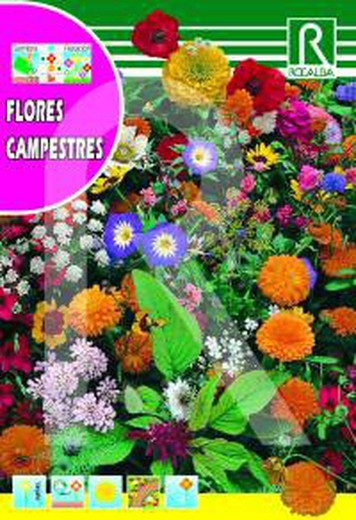 Semillas flores campestres sobre 100gr