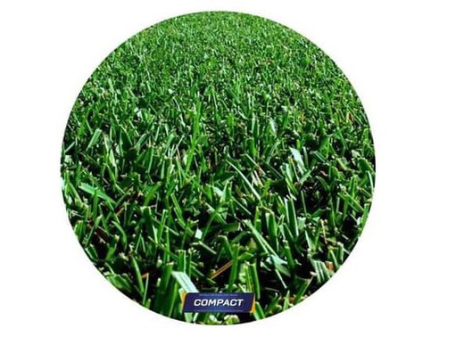 Durable and sustainable grass turf