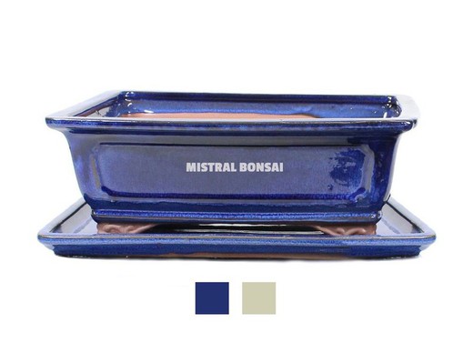 Mistral Bonsai - MISTRAL BONSAI