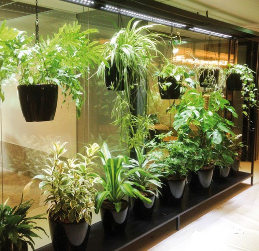 LED strip for natural plants
