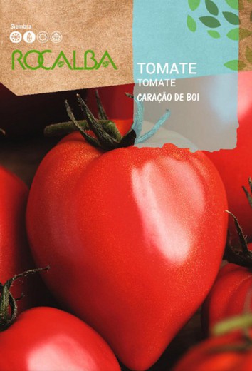 Tomate (Lycopersicon esculentum) Caraçao de boi