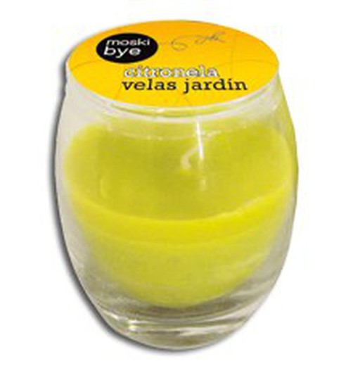 Candele tumbler in vetro di citronella